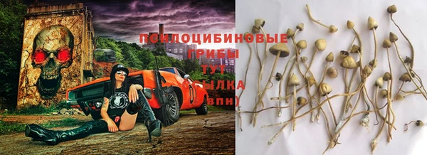 мескалин Зеленокумск