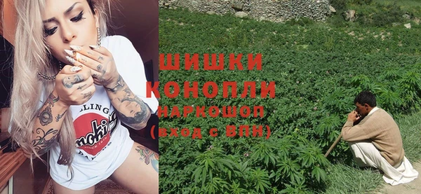 молекула духа Зерноград